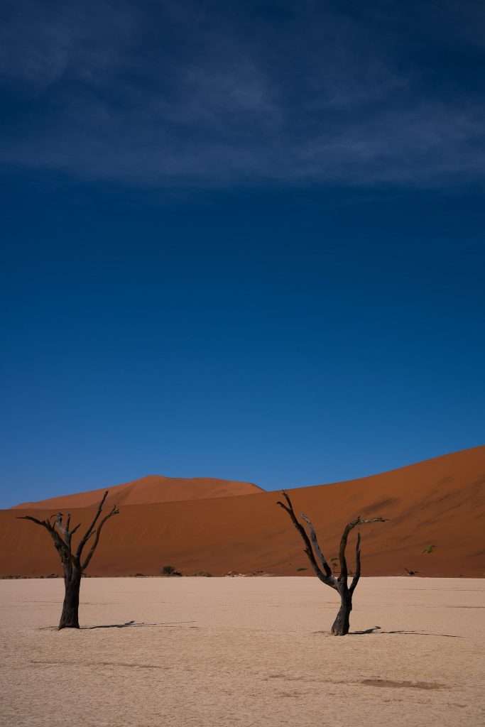 Deadvlei Pan - 10-Day Namibia Itinerary 