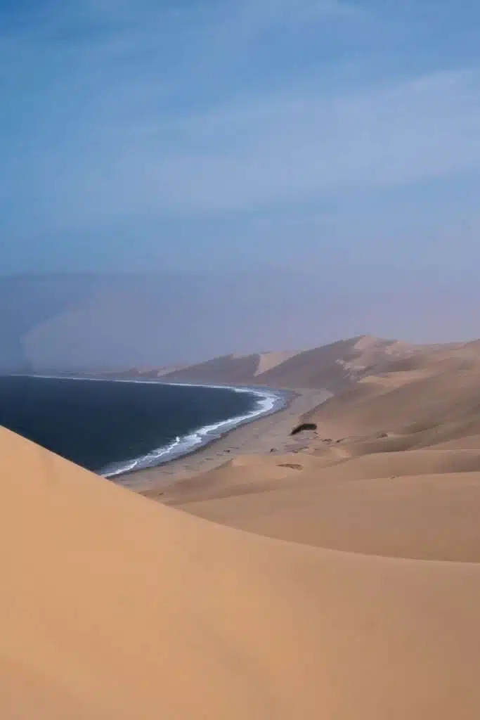 A vast desert of golden sand dunes meets the blue ocean under a clear sky—an iconic sight on any 10-Day Namibia Itinerary, where gentle waves wash the shore and the breathtaking landscape fades into the distance.