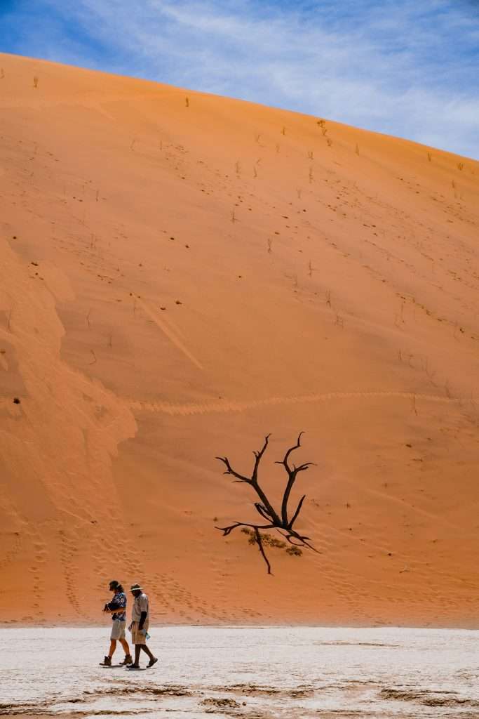 Two people walk side by side on sandy terrain with a large, orange sand dune in the background in Deadvlei. A barren tree with black branches stands in contrast against the dune. The sky above is blue with wispy clouds. This captivating scene might make you wonder, "Is Namibia worth visiting?" Absolutely, it is!