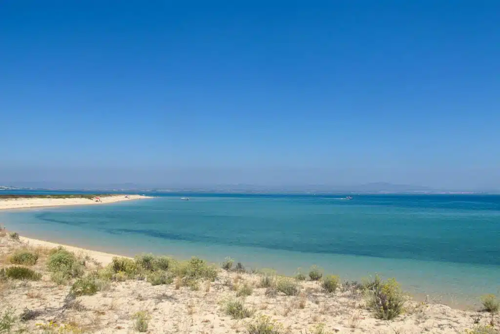 A sandy beach with sparse vegetation in the foreground, calm turquoise water, and a clear blue sky, with distant mountains on the horizon—perfect scenery for discovering the Best Boat Trips In The Algarve.