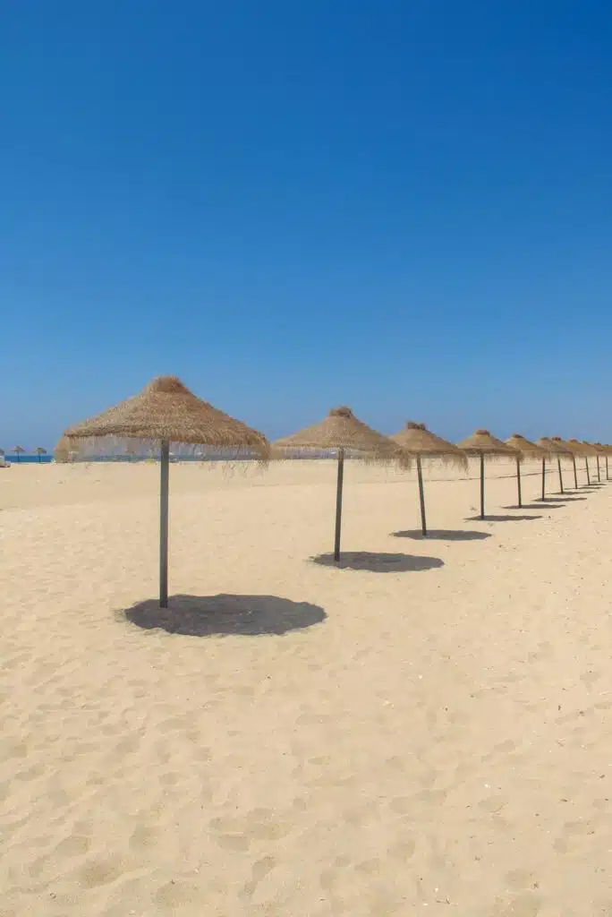 A row of straw beach umbrellas casts shadows on an empty sandy beach under a clear blue sky, the perfect spot to relax before embarking on one of the Best Boat Trips In The Algarve.
