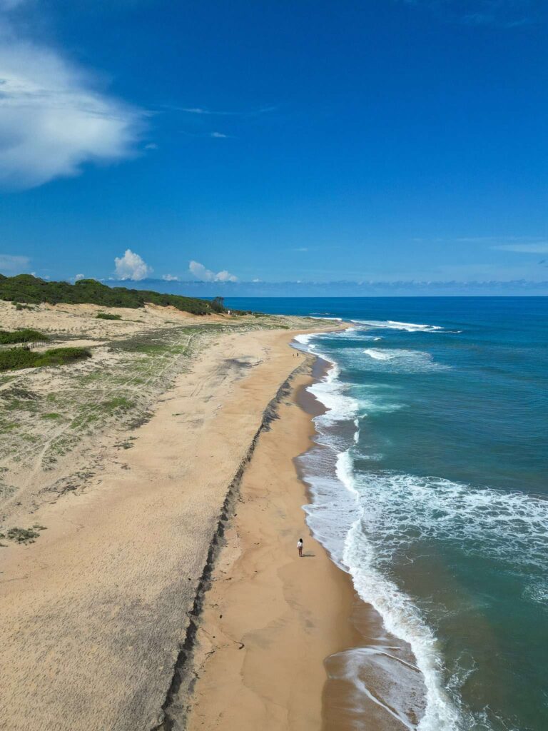 A wide sandy beach with gentle waves meets clear blue water under a bright sky. A person walks alone near the shore—one of the peaceful things to do in Arugam Bay—while dunes and green vegetation line the coastline ahead.