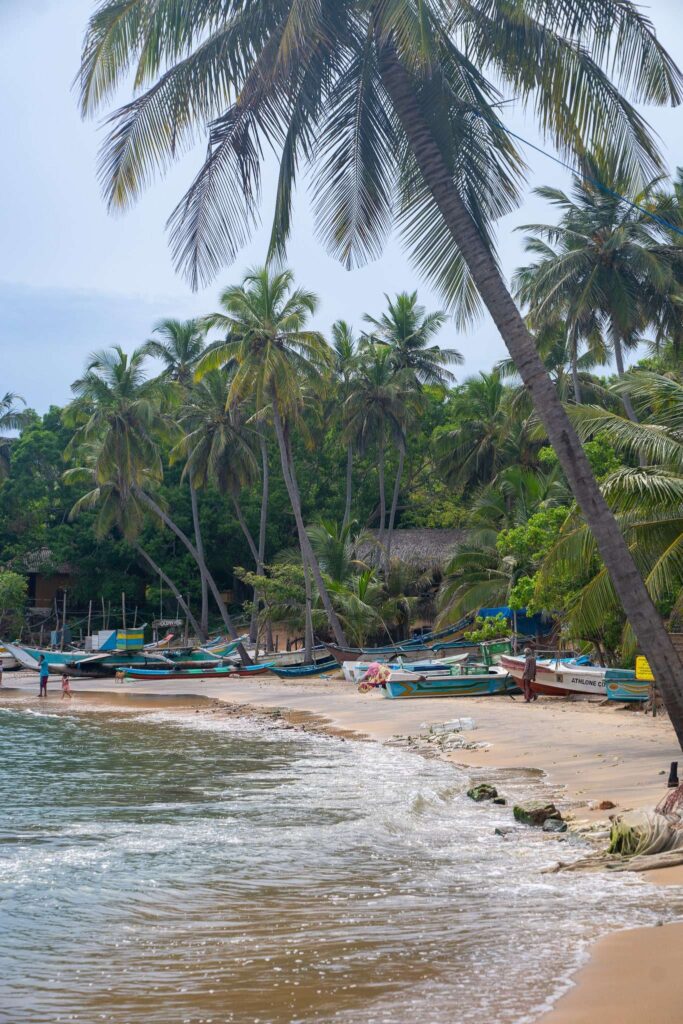 A sandy beach lined with palm trees and small fishing boats; gentle waves lap the shore as a few people gather near the boats under a partly cloudy sky—one of the relaxing things to do in Arugam Bay.