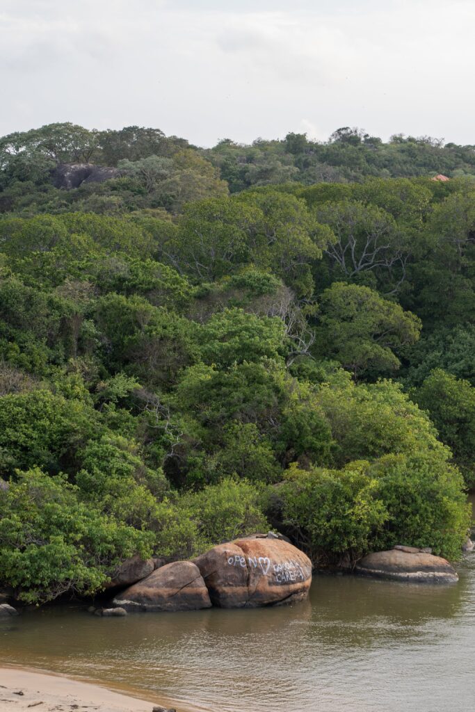 Large green shrubs and trees cover a hillside beside a river or lake near Arugam Bay. In the foreground, rocks on the shore are marked with white graffiti that reads "OPEN YOUR EYES." The sky is overcast—a hidden gem among Things To Do In Arugam Bay.
