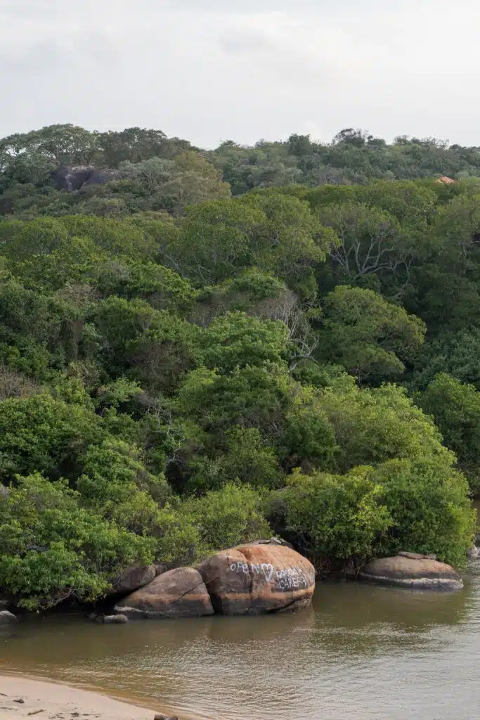 Large green shrubs and trees cover a hillside beside a river or lake near Arugam Bay. In the foreground, rocks on the shore are marked with white graffiti that reads "OPEN YOUR EYES." The sky is overcast—a hidden gem among Things To Do In Arugam Bay.