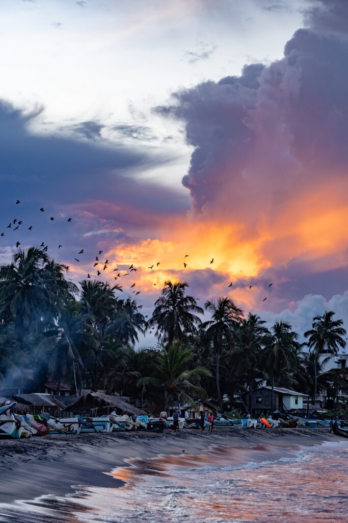 A dramatic sunset over a tropical beach in Arugam Bay with palm trees, fishing boats, people, and birds flying in the vibrant sky—one of the top things to do in Arugam Bay is witnessing this glowing orange light behind dark clouds.
