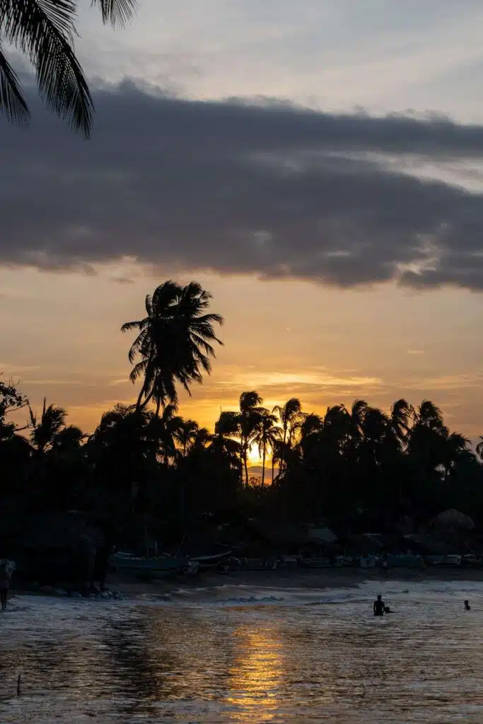 A tropical beach at sunset with palm trees silhouetted against the sky, dark clouds, and golden sunlight reflecting off the calm ocean water—one of the stunning sights among the many things to do in Arugam Bay.