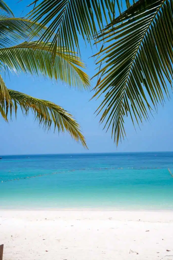 Discover the tranquil Pattaya Beach of Koh Lipe, where white sand and clear turquoise waters are shaded by palm leaves. The horizon seamlessly transitions from ocean to sky, creating a peaceful and tropical atmosphere—one of the many serene things to do in Koh Lipe.