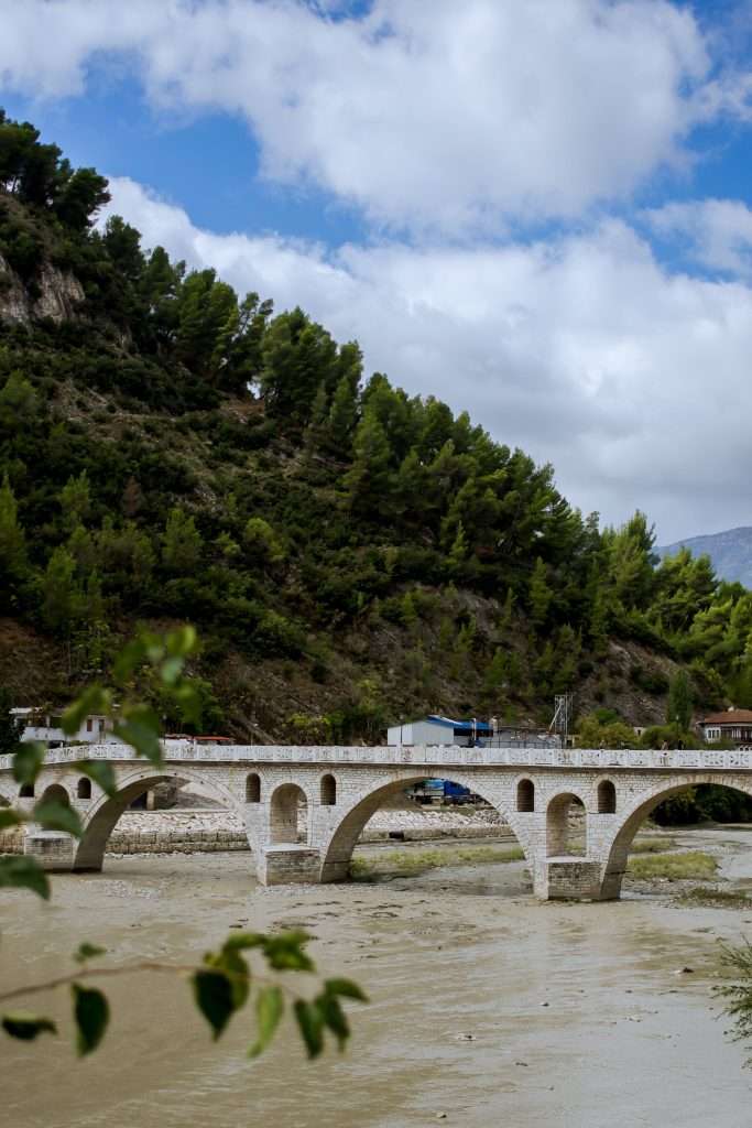 An arched stone Gorica bridge spans a wide, muddy river, framed by lush green hills topped with pine trees under a partly cloudy sky. Structures and vehicles dot the far end of the bridge. In the foreground, a leafy tree branch sways gently—an idyllic scene perfect for your 1-Week Albania Itinerary.