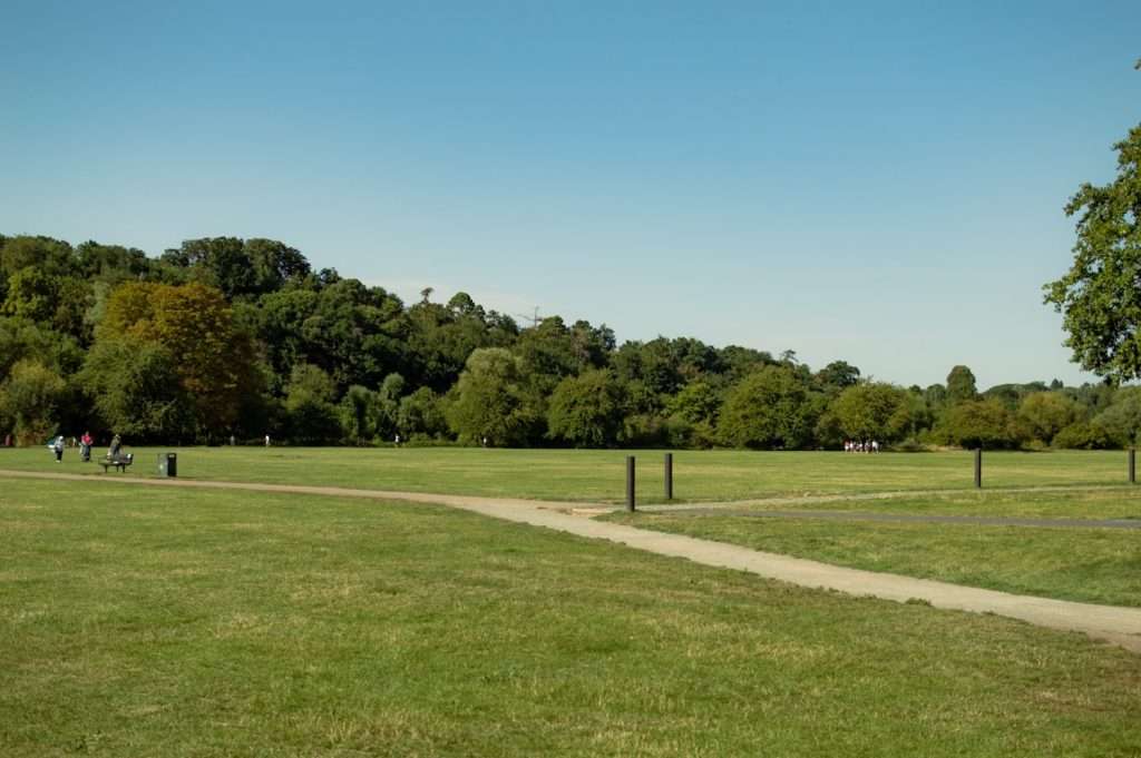 A wide, grassy park with a winding path on a sunny day is one of the great things to do in Hertford. Scattered trees are visible in the background, and a few people are walking or sitting in the distance. The sky is clear and blue.