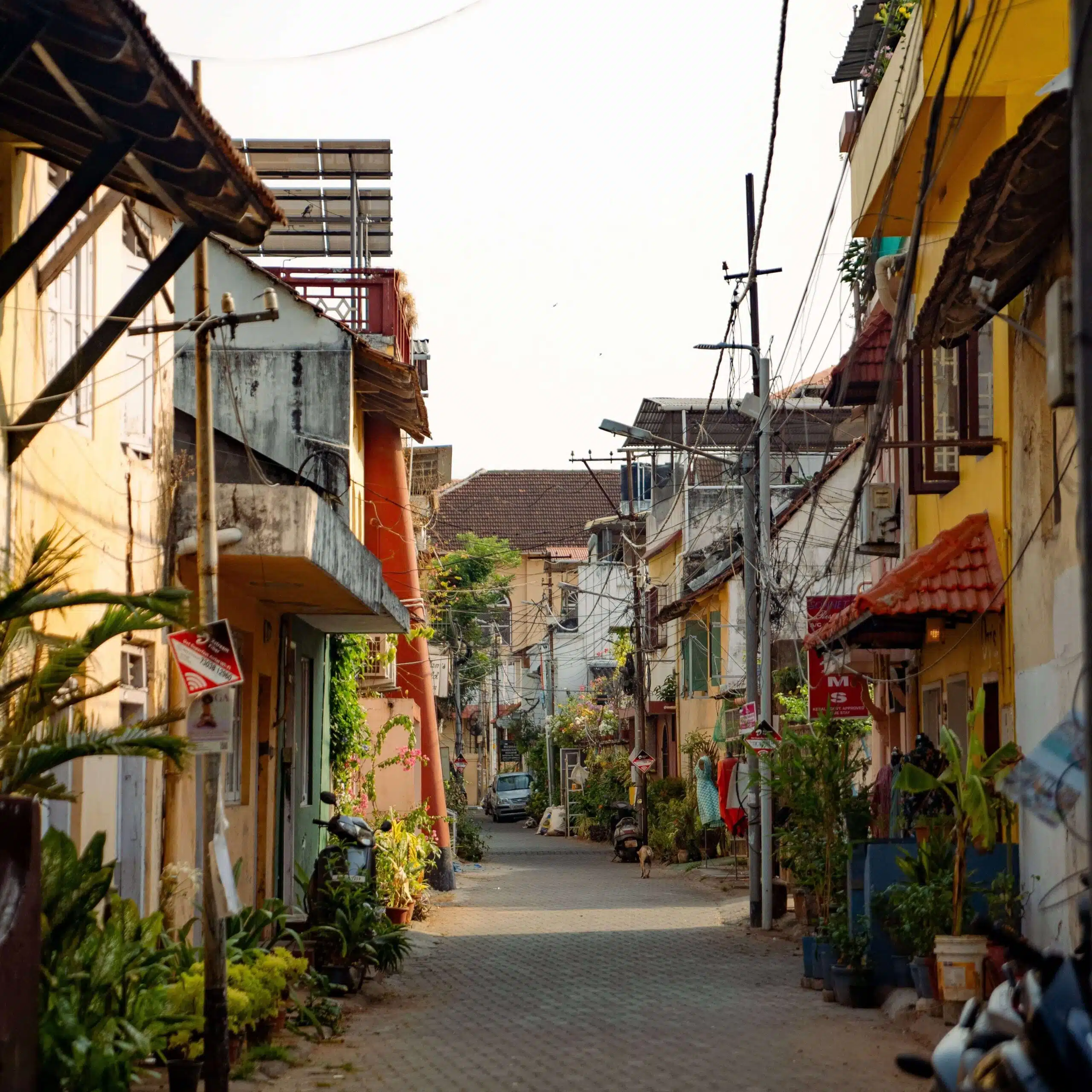 A narrow, sunlit street is lined with colorful, weathered buildings and outdoor plants. Power lines crisscross above, and a few parked motorcycles are visible. The scene feels peaceful and slightly rustic, with a blend of residential charm and urban decay.