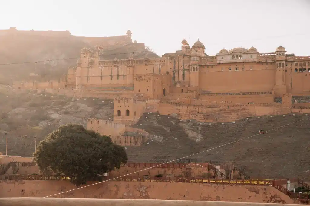 Backpacking India Amber Fort, a large yellow sandstone fortress with ornate architecture, stands on a hillside in Jaipur, India—an essential stop on any 2-Week North India Itinerary—bathed in warm sunlight with a tree and stone walls in the foreground.