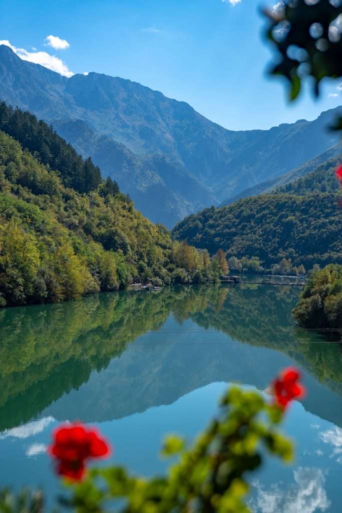 Experience the serenity of a tranquil lake reflecting lush green hills and distant mountains, in Jablanica, Bosnia and Herzegovina. Red flowers in the foreground add a vibrant splash of color under the clear blue sky, creating a picturesque landscape.