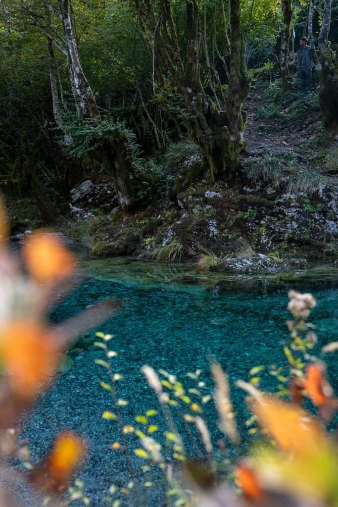 A serene, clear turquoise river flows through a lush forest on the second day of a 10-Day Albania Itinerary. Trees with dense foliage line the riverbank, while blurred orange flowers in the foreground add a splash of color. A person stands on the bank, partially obscured by the trees - Theth National Park, Albania