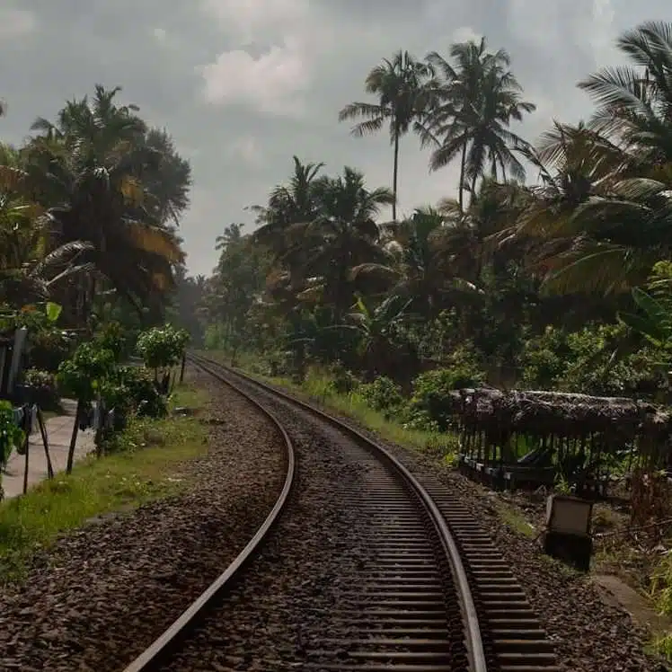 A curved railway track weaves through a tropical landscape in Ahangama, flanked by palm trees under a cloudy sky. On the left, a small road parallels the tracks, inviting exploration amid lush greenery—one of many delightful things to do in Ahangama.