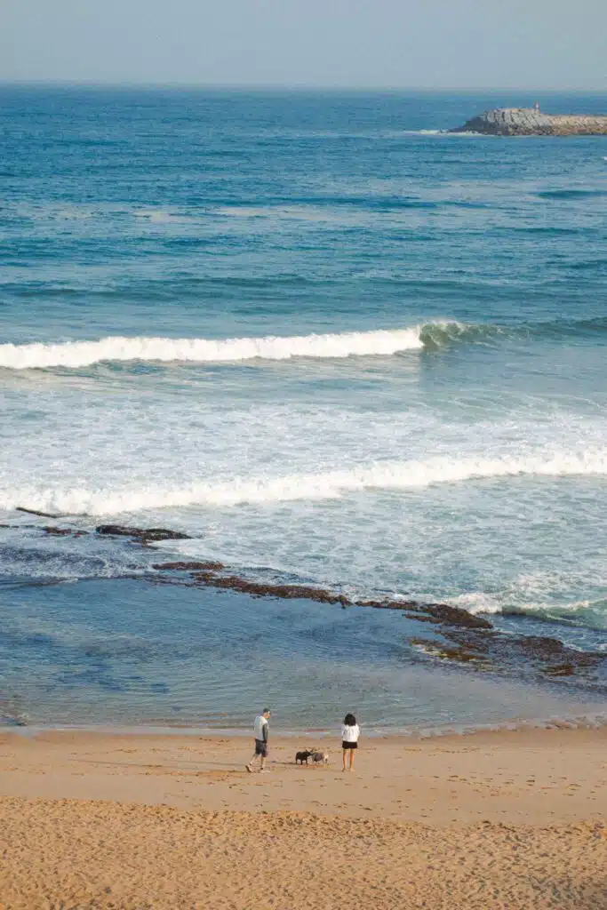 A man and a woman stand on a sandy beach near the shore with a dog, facing the ocean. Waves roll in and a rocky breakwater is visible in the distance under a clear sky, evoking the serene beauty of the Best Beaches in Ericeira.