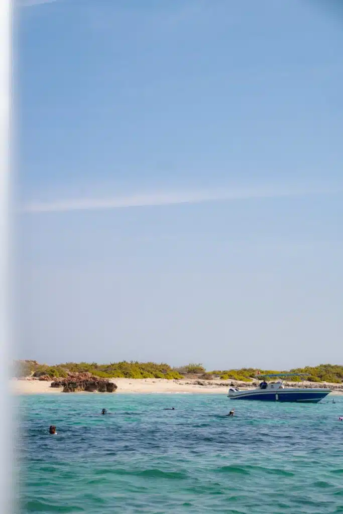 People swim in clear turquoise water near a sandy beach with green shrubs under a blue sky at the Daymaniyat Islands. A small blue and white boat floats close to the shore.