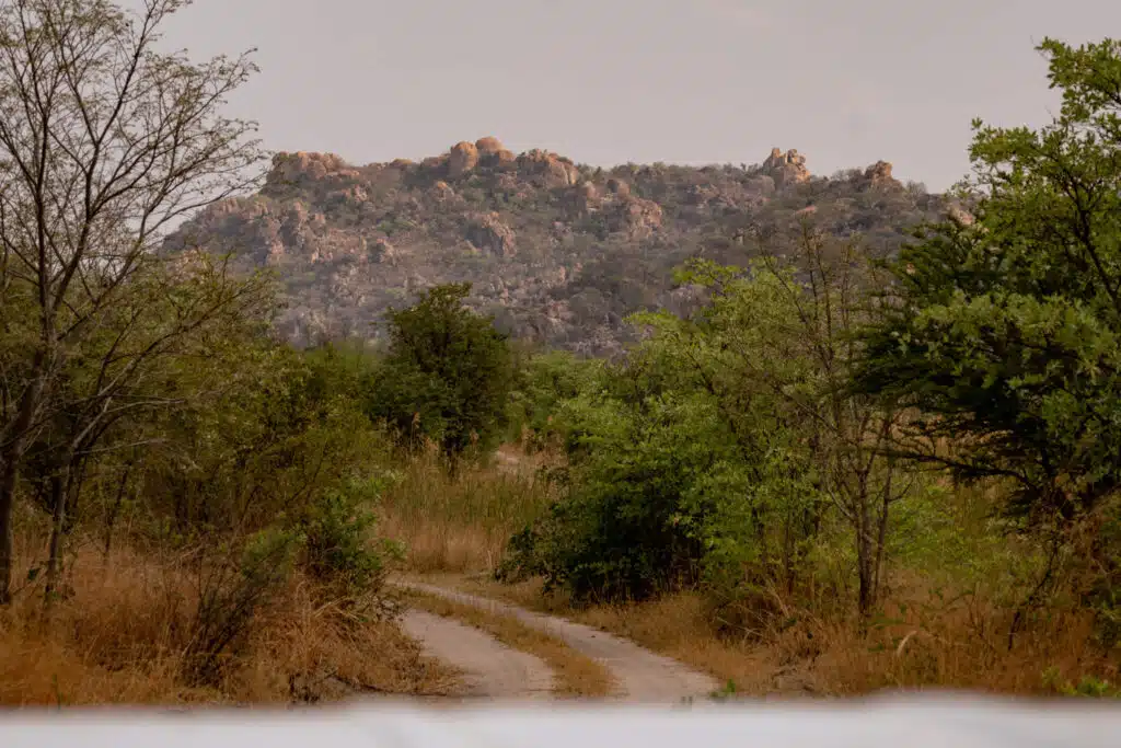 A dirt road winds through dry grass and green shrubs toward a rocky, tree-covered hill under a cloudy sky, capturing the spirit of African Overland Tours.