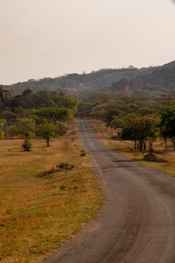 A narrow, winding road stretches into the distance through a dry, grassy landscape with scattered trees and rocky hills under a hazy sky—an iconic scene often encountered on African Overland Tours.