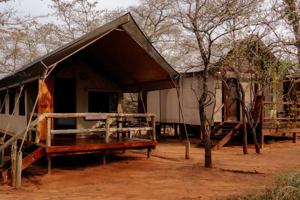 Two canvas safari tents with wooden decks and steps stand among dry trees on reddish-brown soil, creating a rustic campsite setting—perfect for those seeking authentic experiences on African Overland Tours.