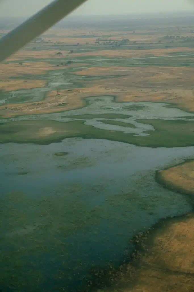 Aerial view of a vast wetland with patches of green grass and blue water, bordered by dry, brown land. A part of an aircraft wing is visible at the top—capturing the beauty seen on African Overland Tours from above.
