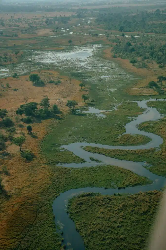 Aerial view of a winding river flowing through a green and brown grassy landscape with scattered trees and patches of water, capturing the untamed beauty often explored on African Overland Tours in savanna or wetland regions.