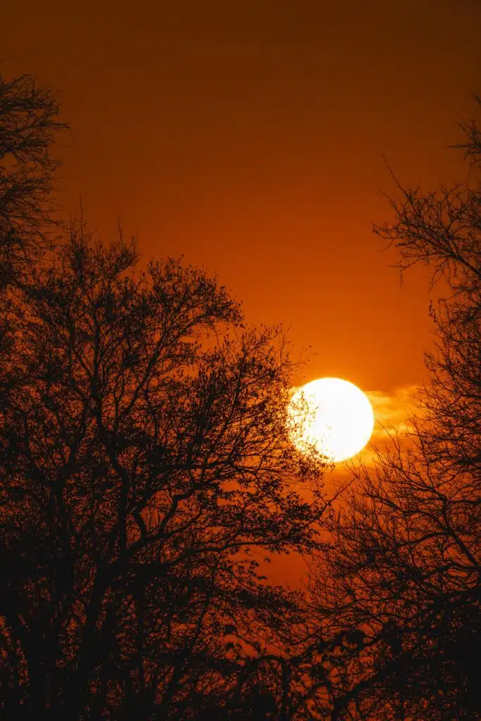 The sun sets behind leafless trees, casting an orange glow across the sky—a scene often admired on African Overland Tours, where tree branches appear as dark silhouettes against the bright, warm sunset.