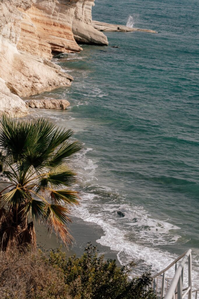 A palm tree and bushes overlook a rocky coastline with turquoise waves gently hitting the shore near pale, layered cliffs under clear daylight