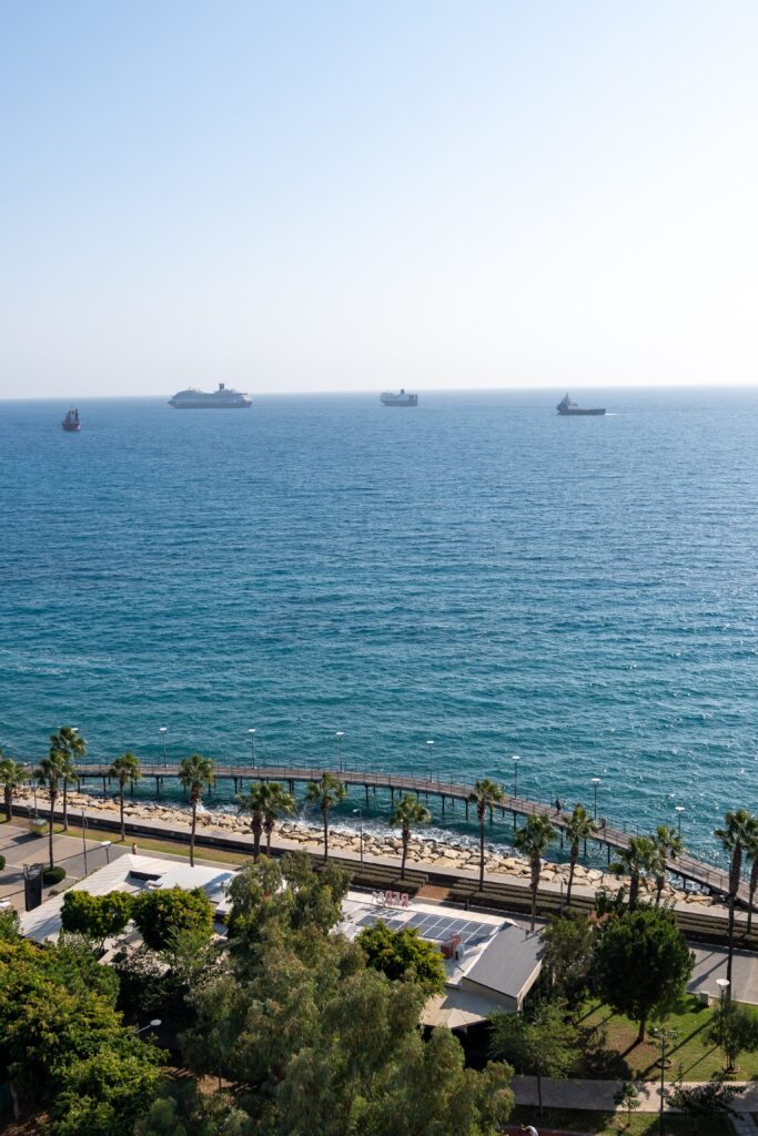 A coastal scene with a walkway lined by palm trees, clear blue sea, and several large ships visible on the horizon under a clear sky.