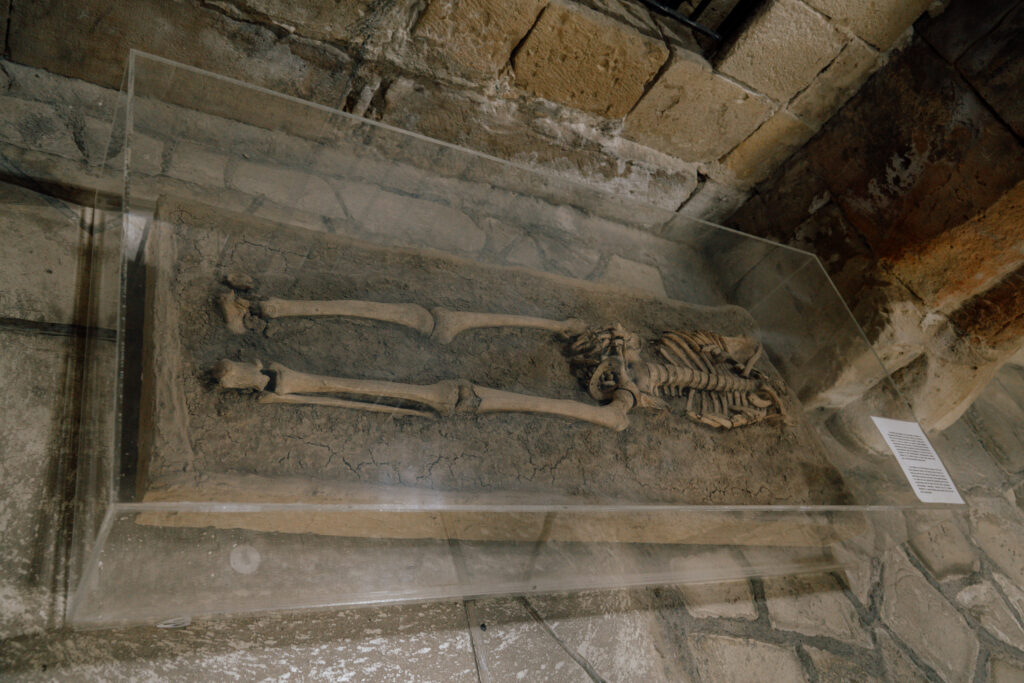 A human skeleton lies in a glass display case set into a stone floor, surrounded by stone walls—an intriguing sight to discover if you spend one day in Limassol. A small informational plaque is placed beside the display.