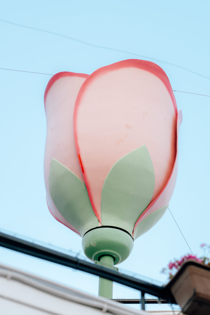 A large, decorative sculpture of a pink rosebud with green leaves stands outdoors against a clear blue sky, capturing the charm often found in villages in Cyprus. Part of a building and balcony with flowers appear at the bottom of the image.