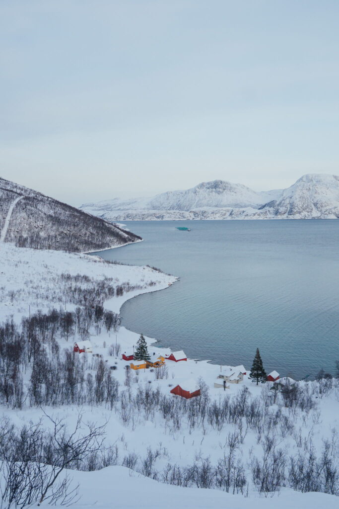 A snowy landscape featuring red-roofed houses by a calm fjord, surrounded by snow-covered mountains and bare trees under a pale, overcast sky—a perfect scene to include in your 3 Day Tromso Itinerary.