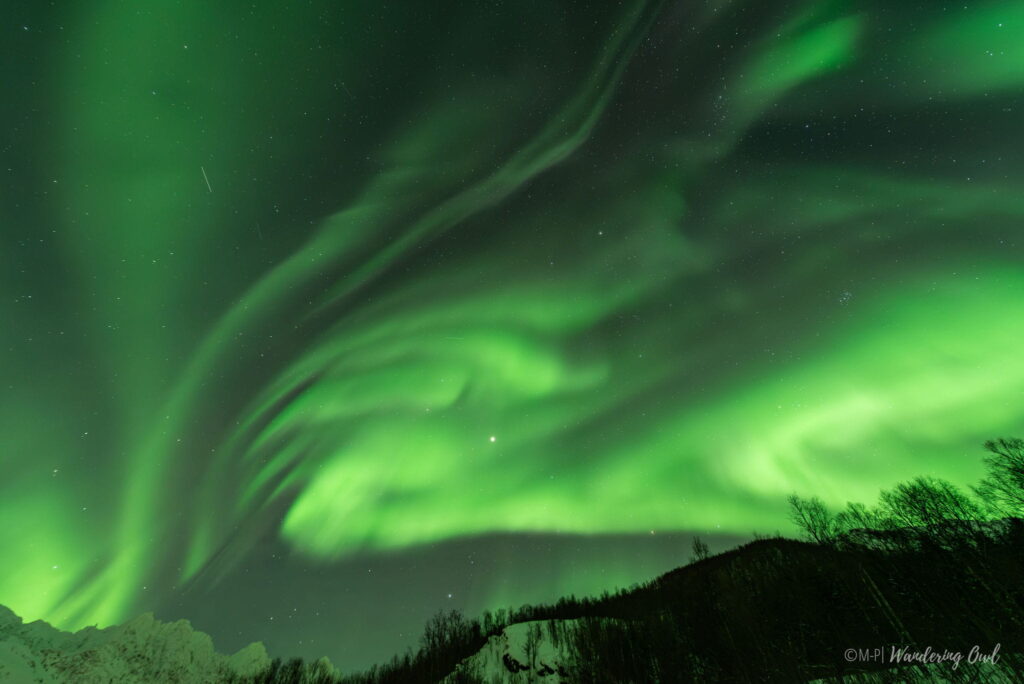 Green aurora borealis lights swirl vividly across a night sky above a snow-covered landscape with silhouetted trees and mountains—an unforgettable scene to include in your 3 Day Tromso Itinerary. Stars twinkle in the background.