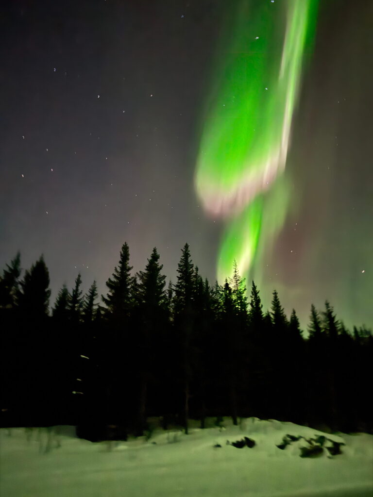 Green aurora borealis lights swirl in the night sky above a dark forest of pine trees, with snow covering the ground—an unforgettable sight on a 3 Day Tromso Itinerary. Stars are faintly visible in the background.