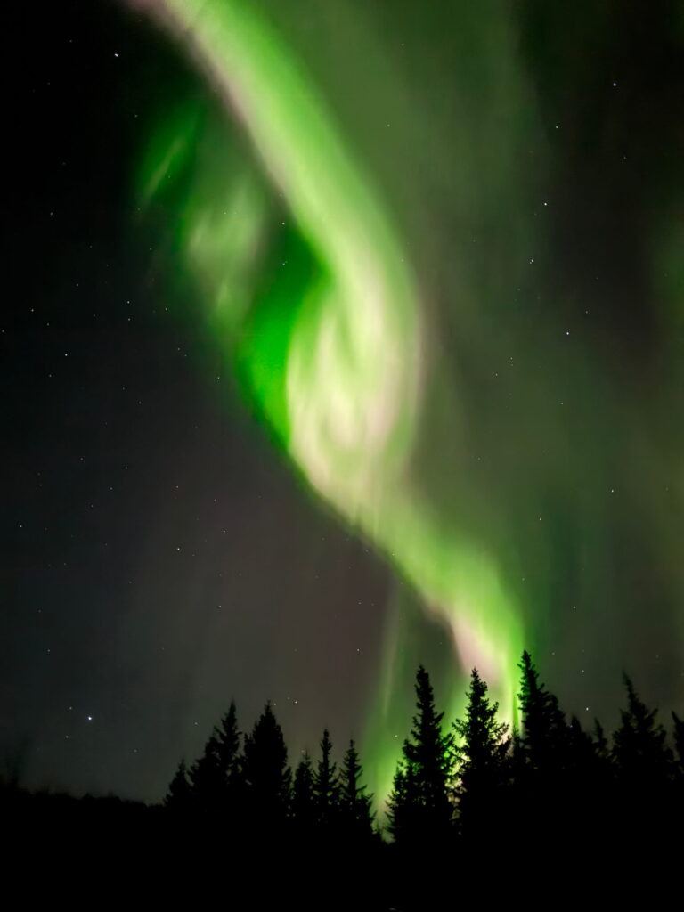 Bright green and white northern lights swirl across a dark, starry sky above a silhouette of pine trees—an unforgettable sight on any 3 Day Tromso Itinerary.