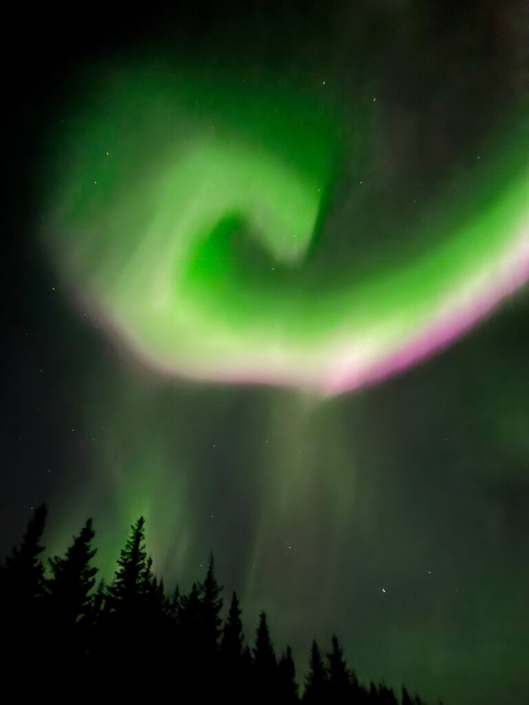 A vivid green and purple aurora spirals across the night sky above a silhouette of tall pine trees—an unforgettable highlight on any 3 Day Tromso Itinerary. The swirling lights illuminate the dark, star-dotted sky.